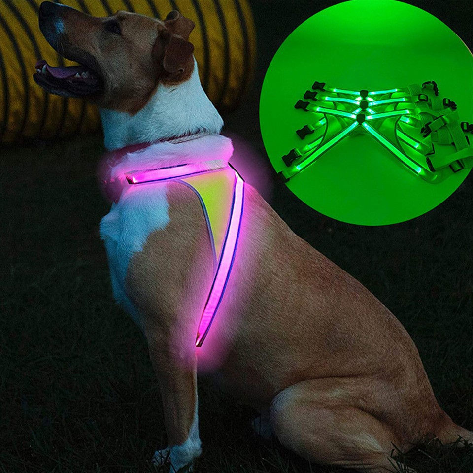 Glow in The Dark Dog Harness