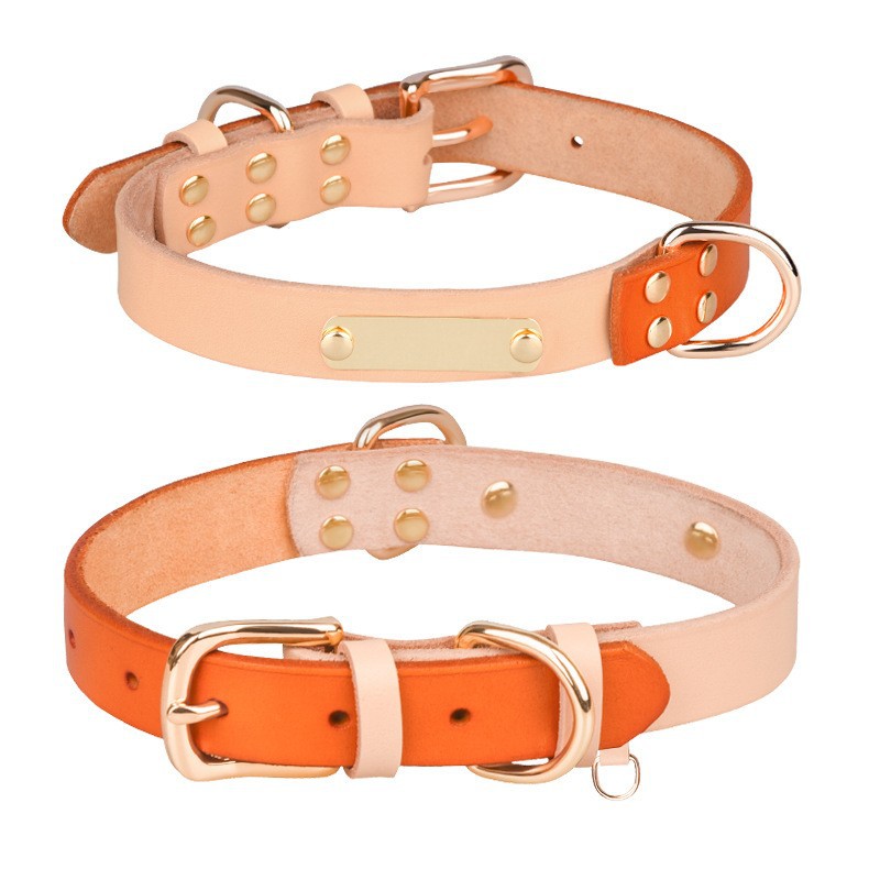Personalized Leather Dog Collars best